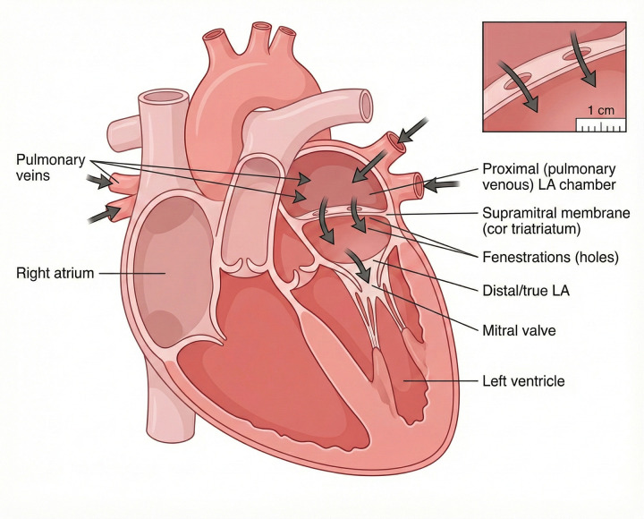 Figure 1