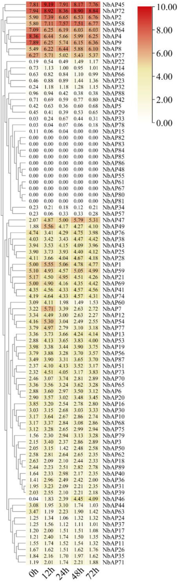 Figure 6