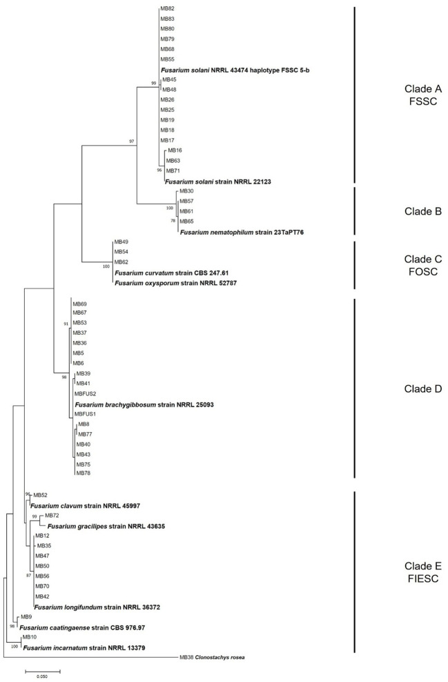 Figure 2