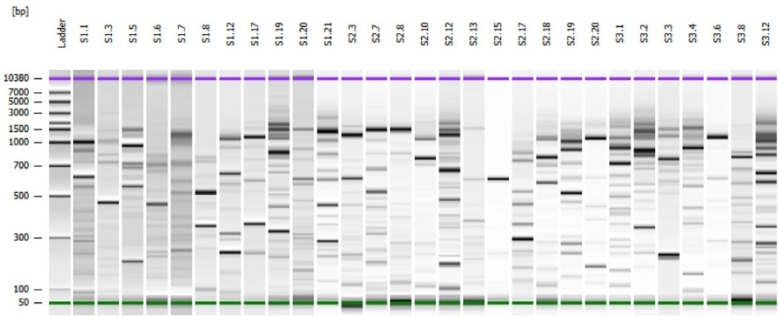 Figure 3