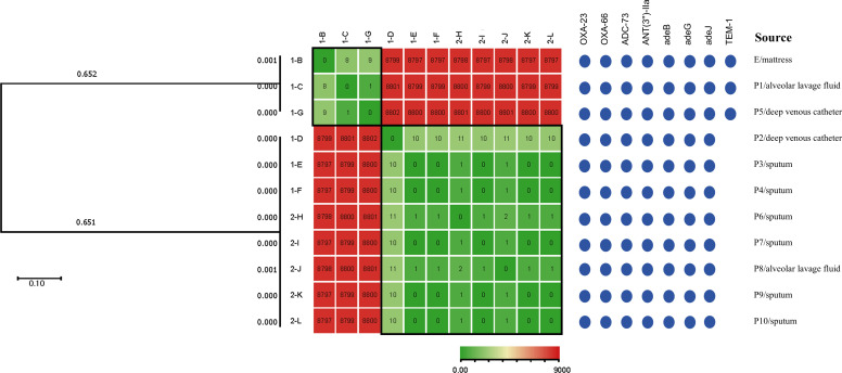 Figure 2