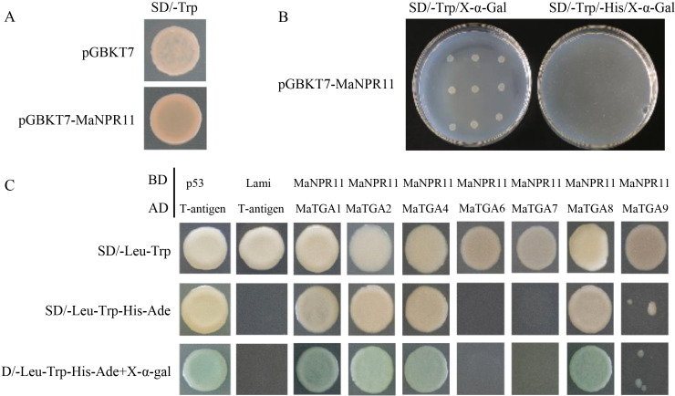 Figure 2