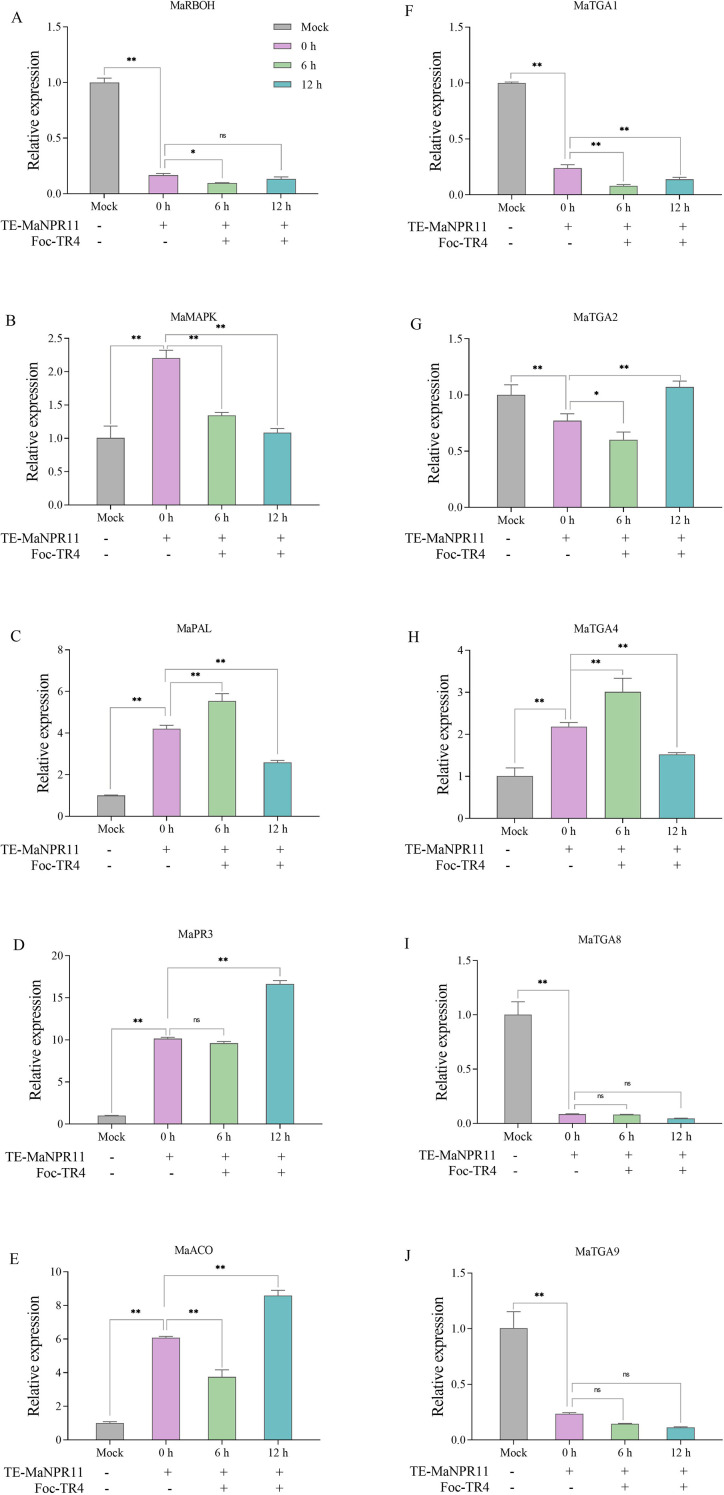 Figure 4