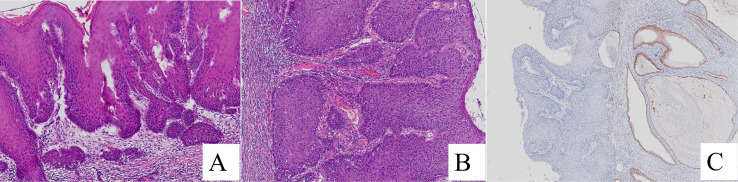 Figure 2