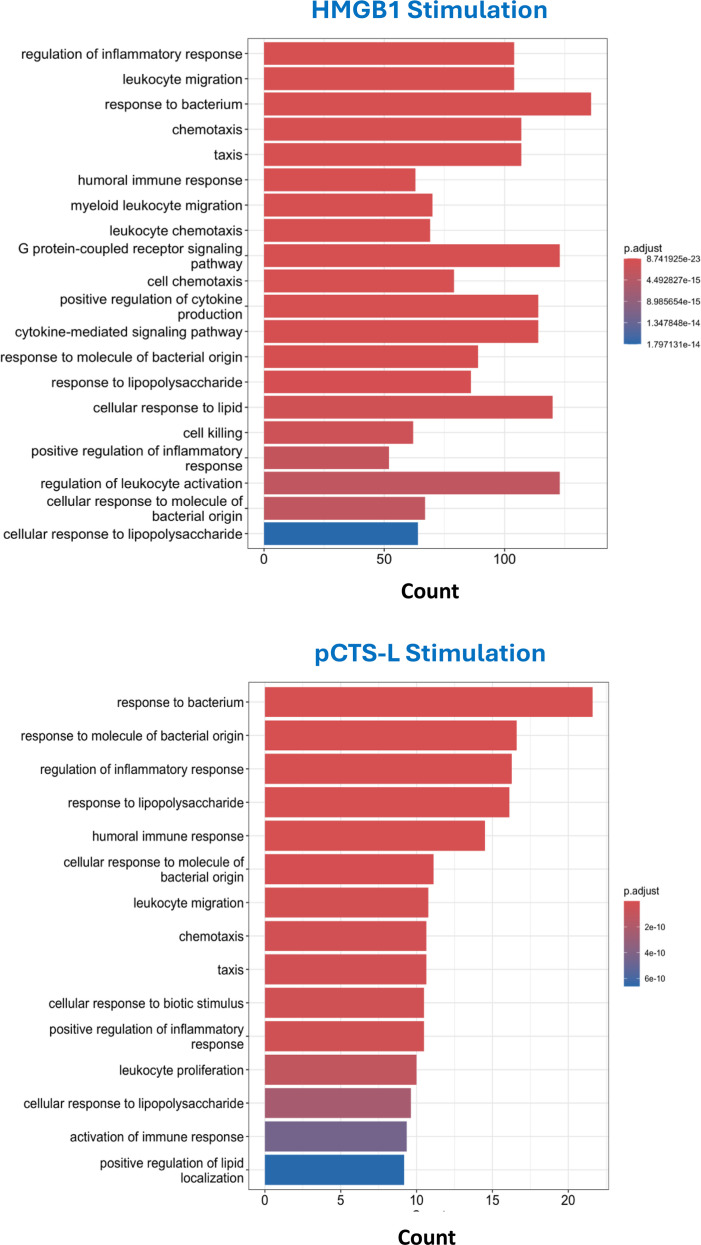 Figure 4