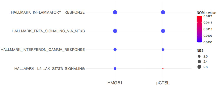 Figure 5