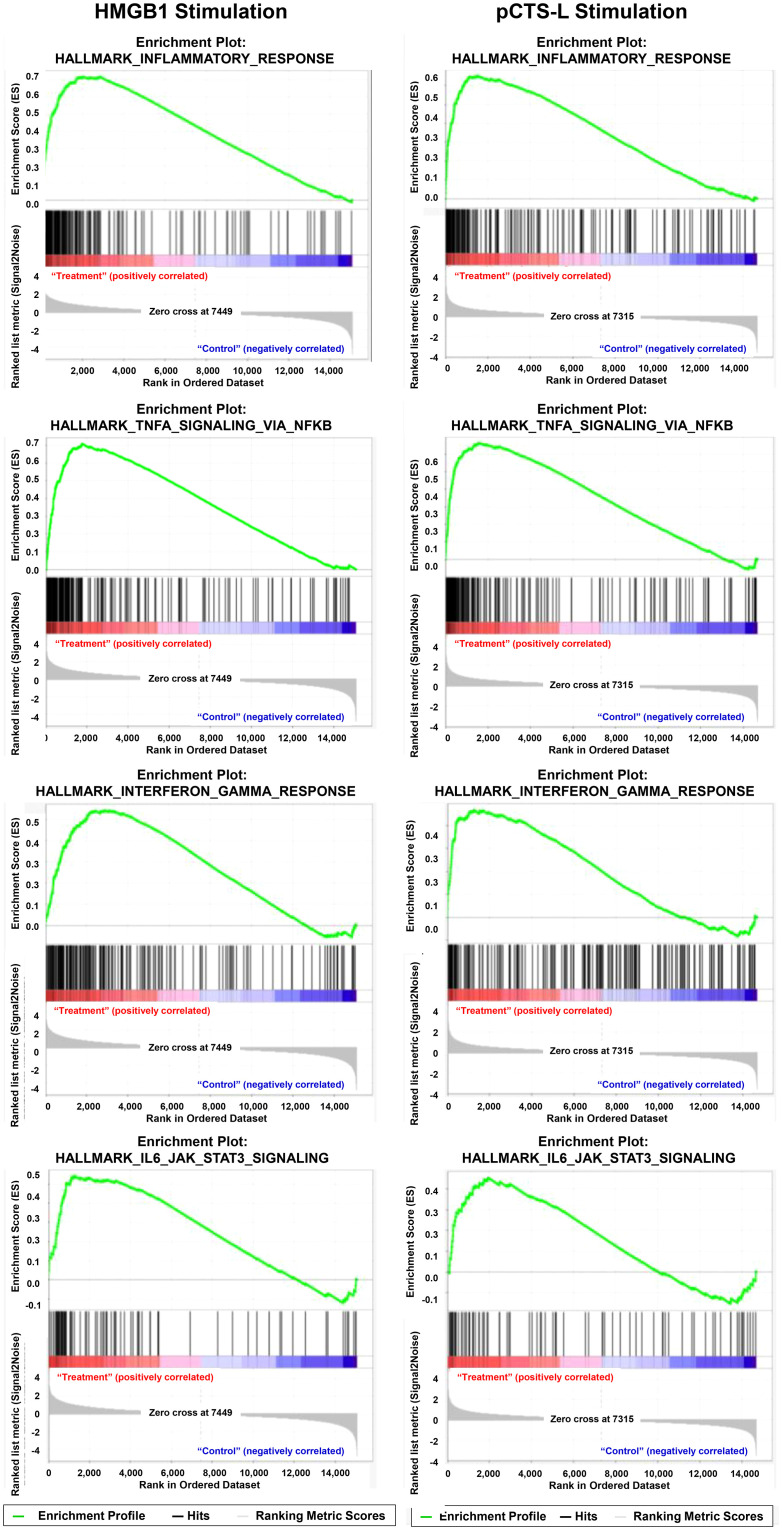 Figure 6