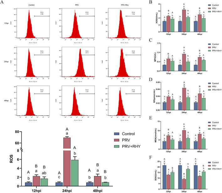 FIGURE 4