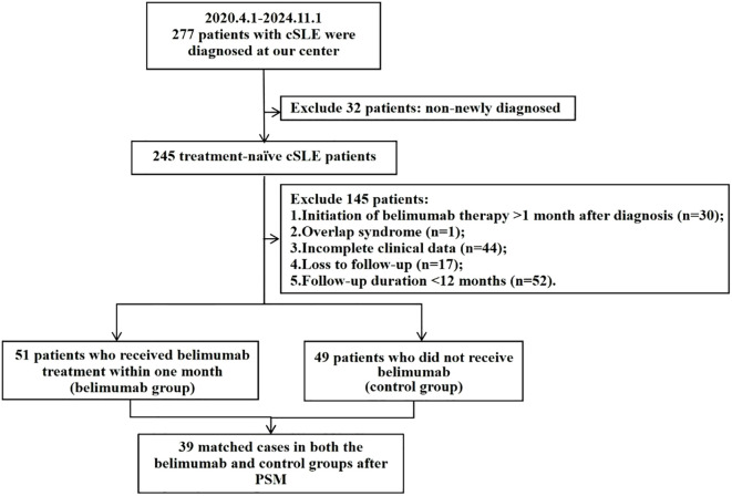 Figure 1
