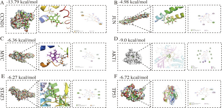 FIGURE 4