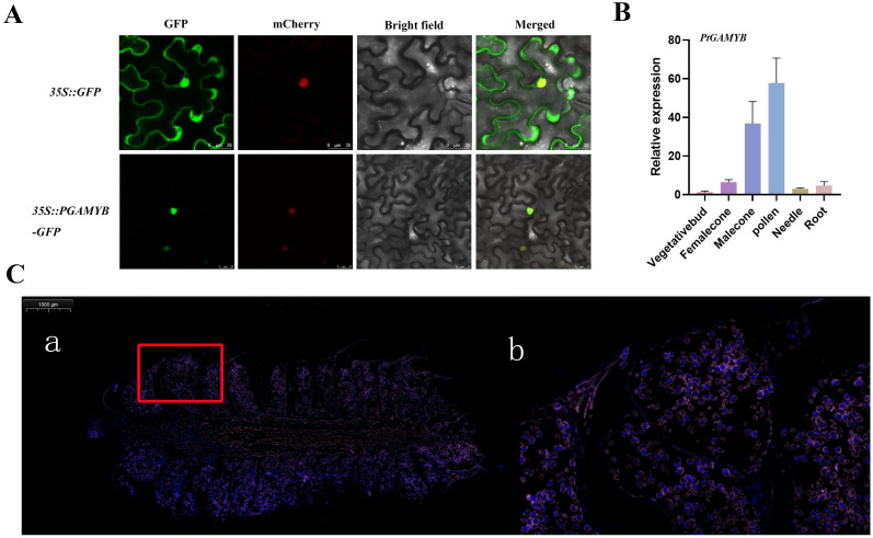 Figure 3