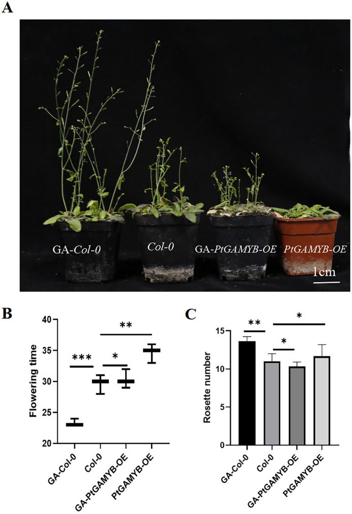 Figure 4