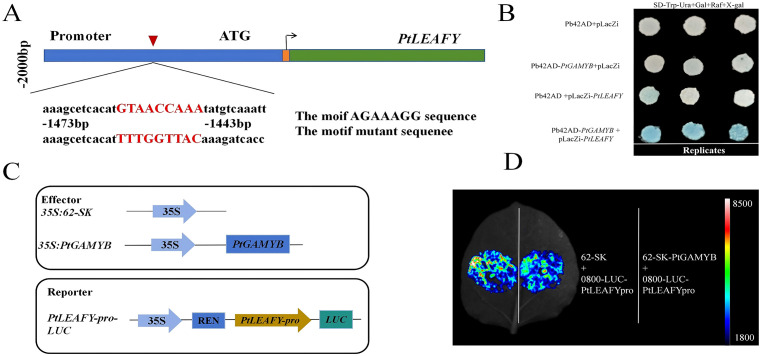 Figure 6