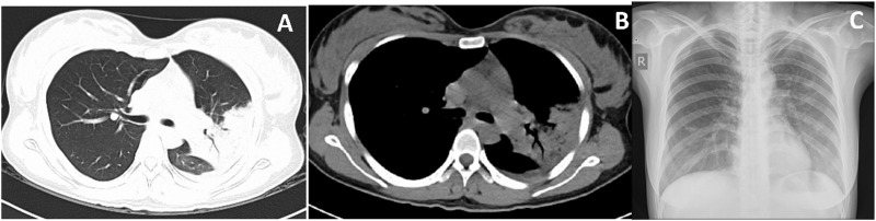 FIGURE 1