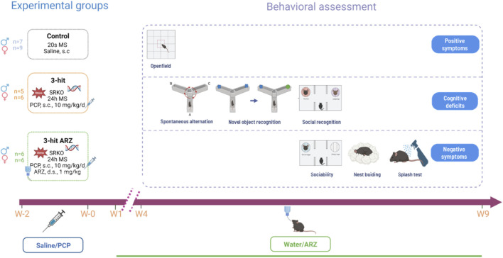 FIGURE 1