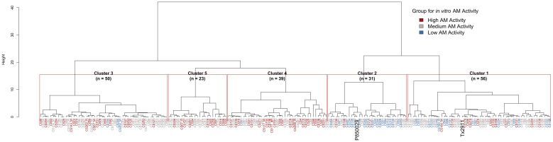 Figure 3