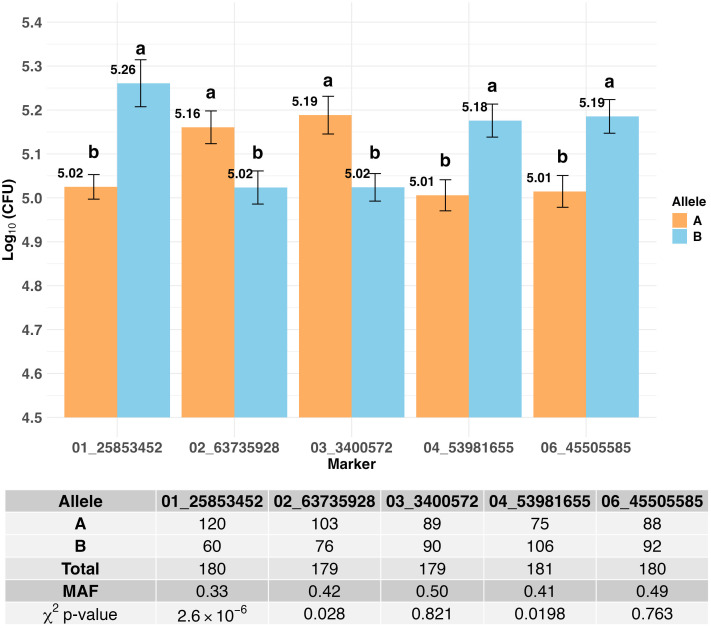 Figure 6