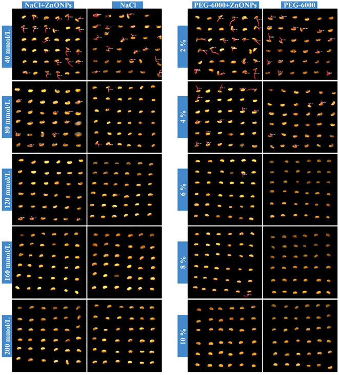 Figure 11
