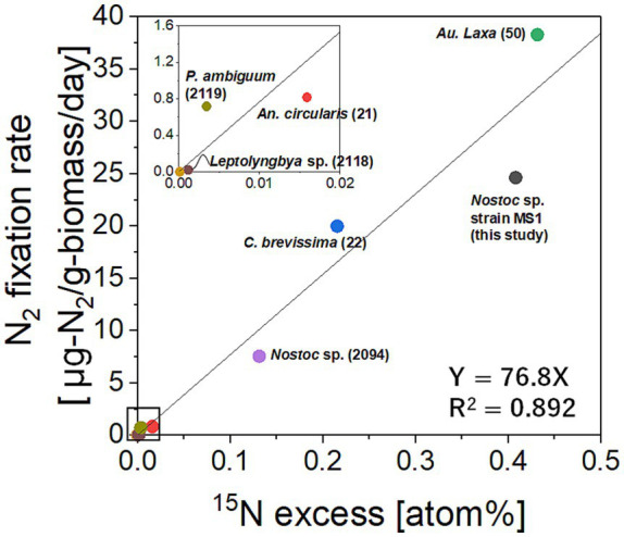 Figure 5