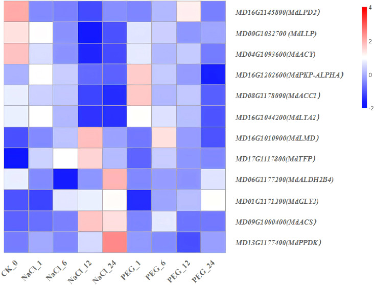 Figure 13