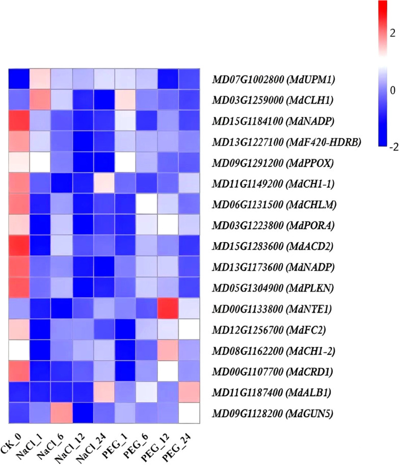 Figure 14