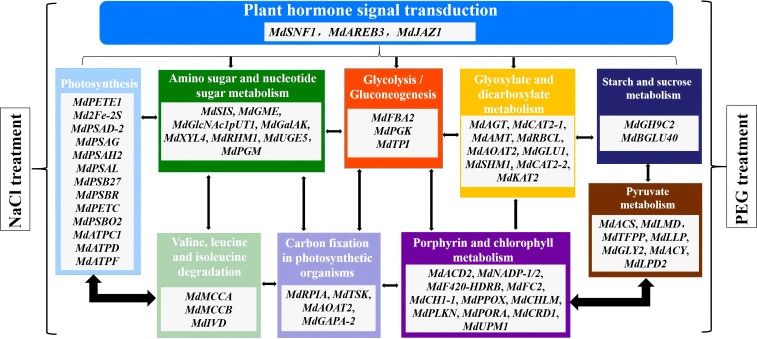 Figure 17