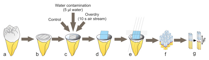 Fig 1a to g
