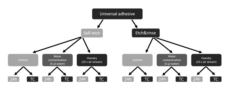 Fig 2