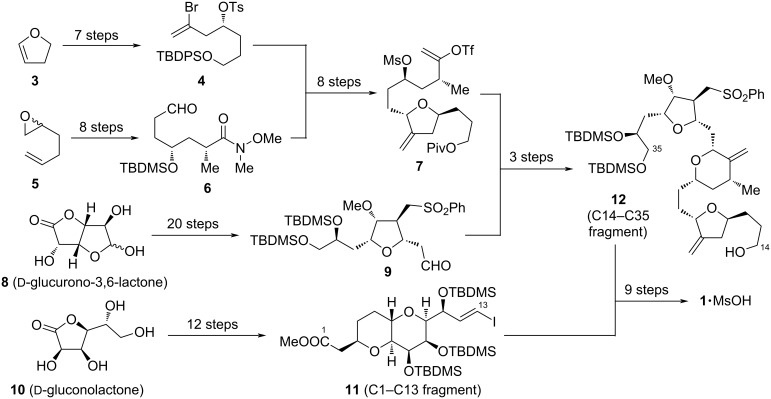 Scheme 1