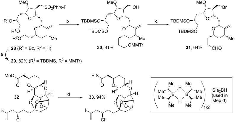 Scheme 4