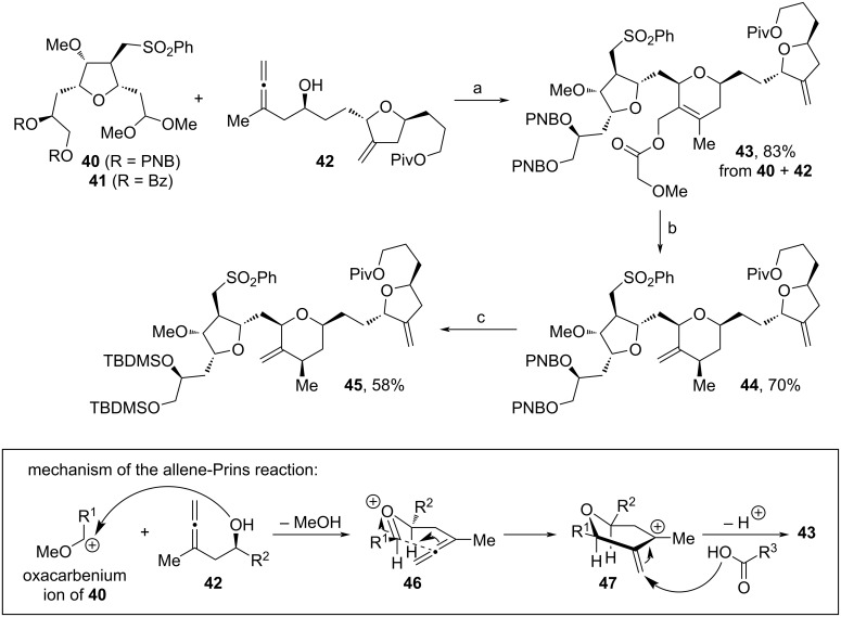 Scheme 6
