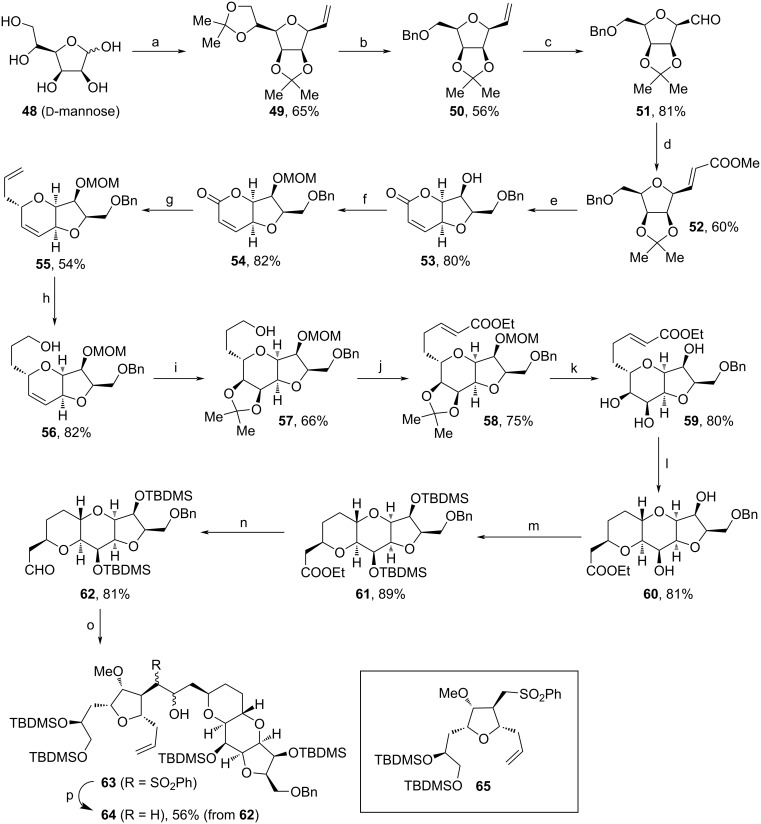 Scheme 7