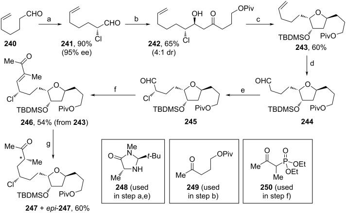 Scheme 27