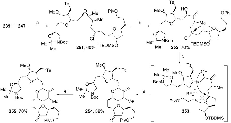 Scheme 28