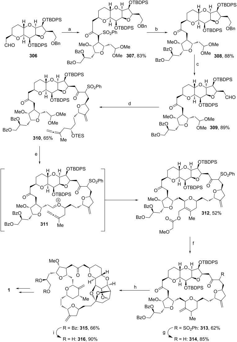 Scheme 36