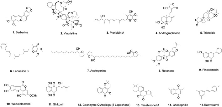 FIGURE 2
