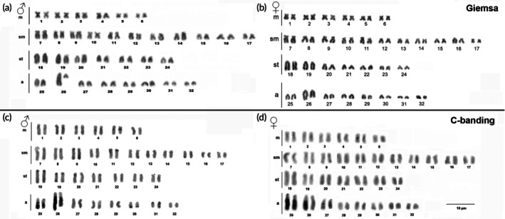 FIGURE 2