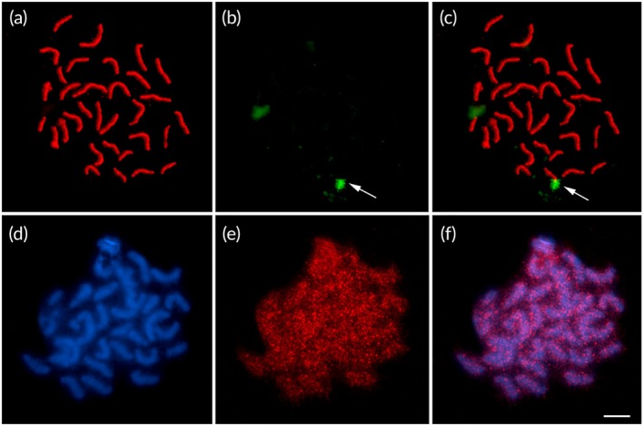 FIGURE 5