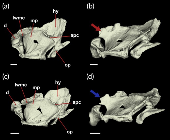 FIGURE 2