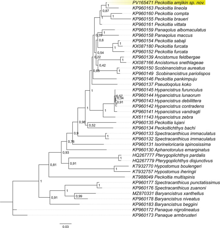 FIGURE 6