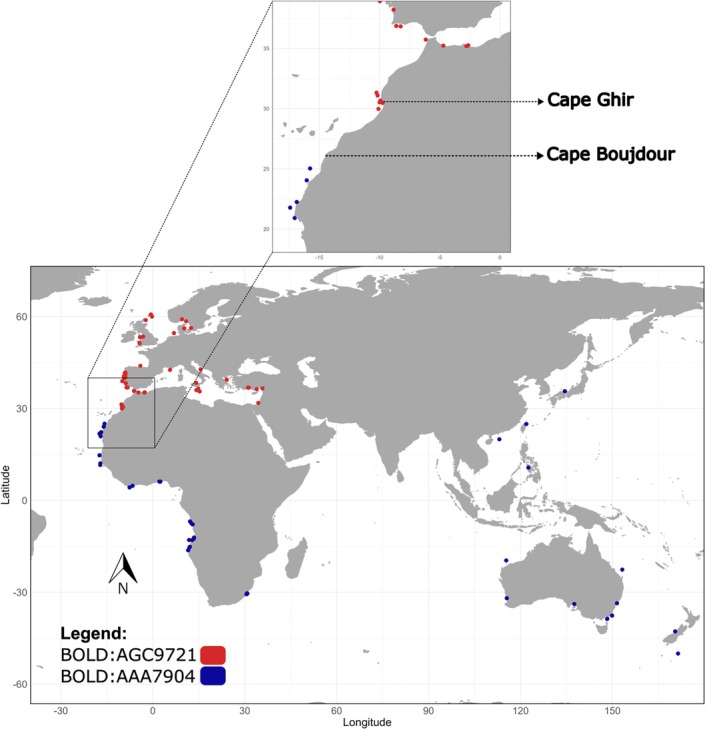 FIGURE 1