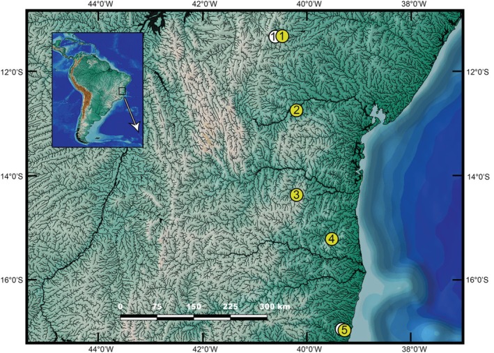 FIGURE 7