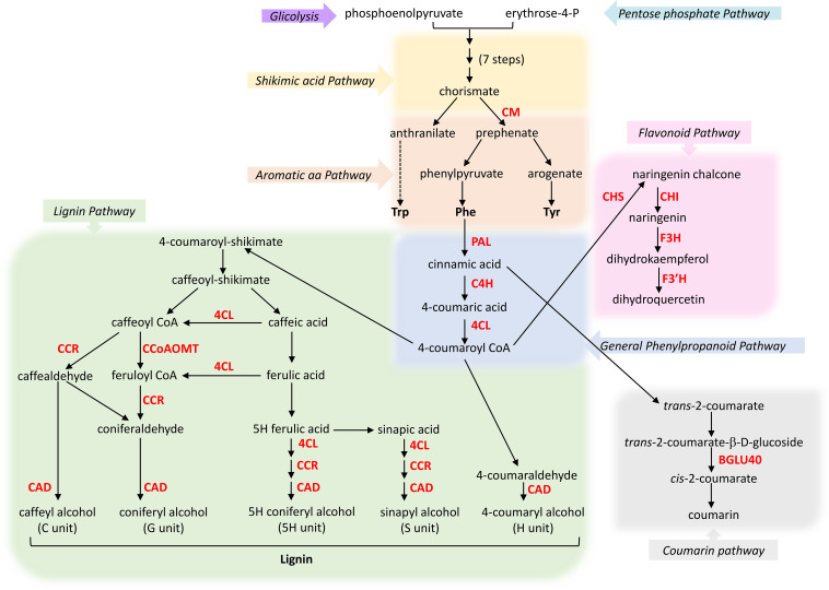 Figure 4