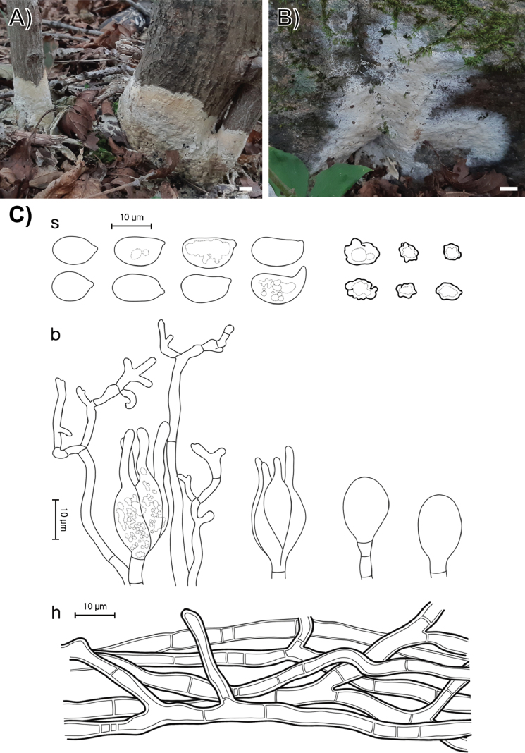 Figure 6