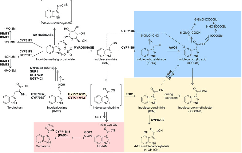Figure 1
