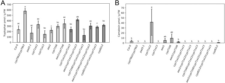 Figure 2