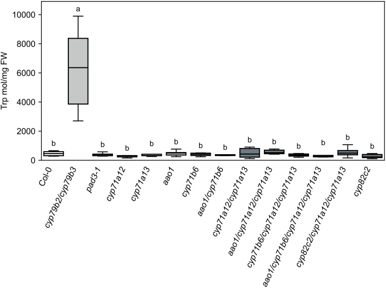 Figure 3
