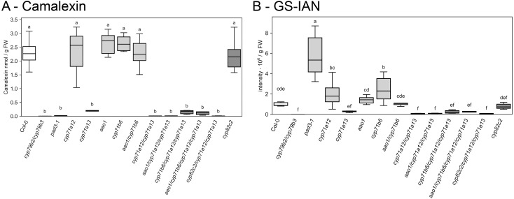 Figure 5