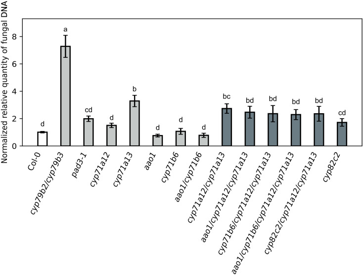 Figure 7