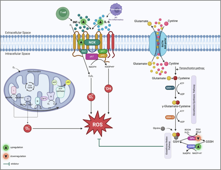Figure 6